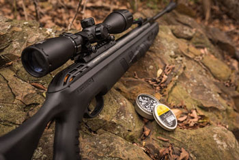 Umarex Rifle Staged in the woods with RWS Pellets 